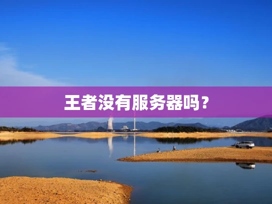 王者没有服务器吗？