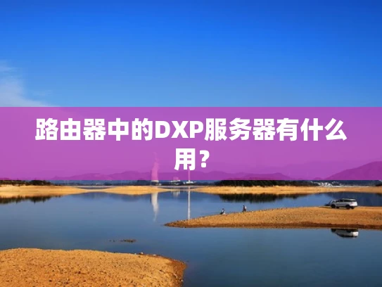 路由器中的DXP服务器有什么用？