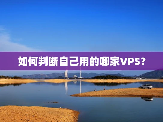 如何判断自己用的哪家VPS？