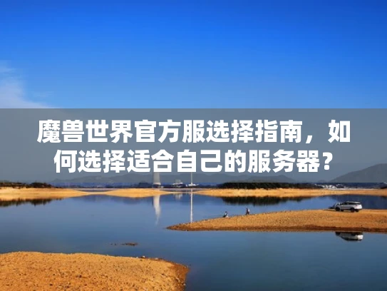 魔兽世界官方服选择指南，如何选择适合自己的服务器？