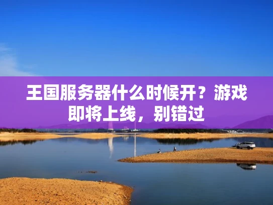 王国服务器什么时候开？游戏即将上线，别错过