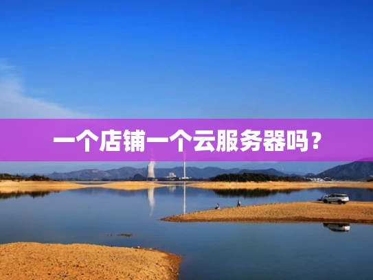 一个店铺一个云服务器吗？