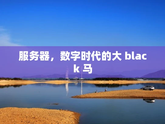 服务器，数字时代的大 black 马