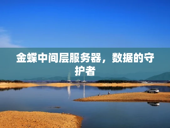 金蝶中间层服务器，数据的守护者