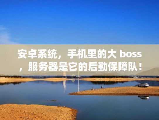 安卓系统，手机里的大 boss，服务器是它的后勤保障队！