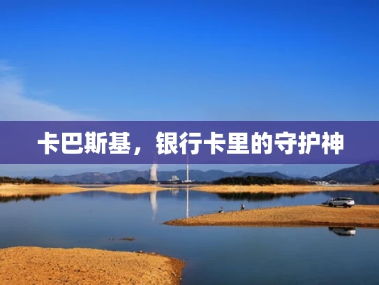 卡巴斯基，银行卡里的守护神