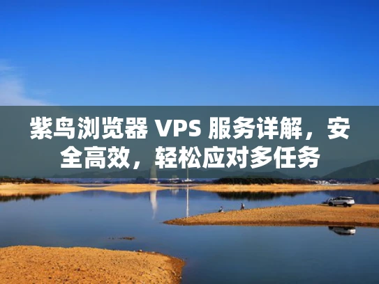 紫鸟浏览器 VPS 服务详解，安全高效，轻松应对多任务