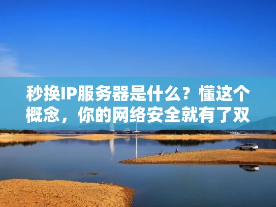 秒换IP服务器是什么？懂这个概念，你的网络安全就有了双保险！