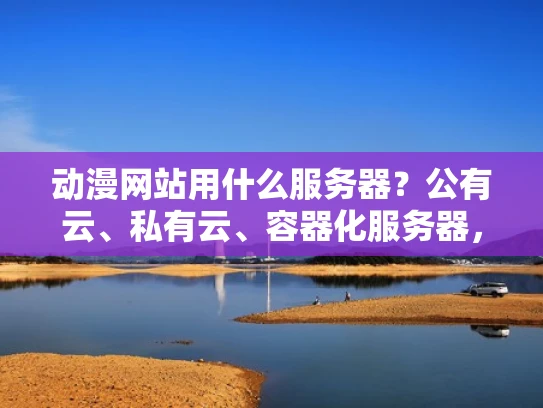动漫网站用什么服务器？公有云、私有云、容器化服务器，哪种最适合？