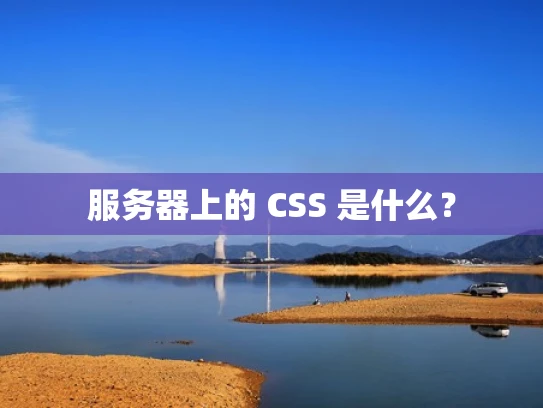 服务器上的 CSS 是什么？
