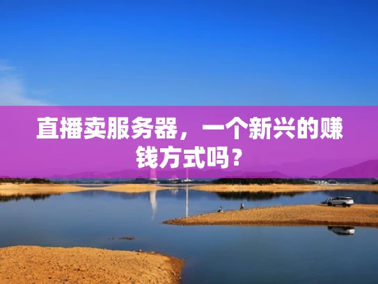 直播卖服务器，一个新兴的赚钱方式吗？