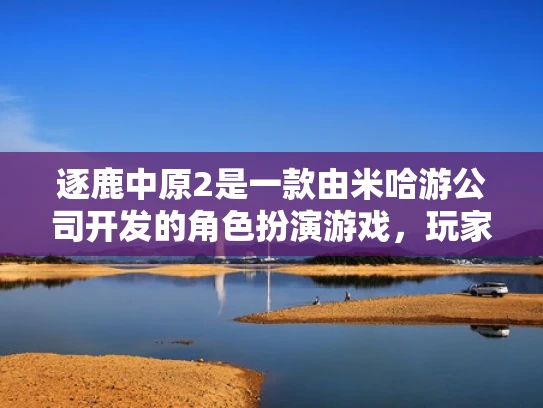 逐鹿中原2是一款由米哈游公司开发的角色扮演游戏，玩家在游戏中扮演古代中原地区的武将，通过击败敌人、提升等级、获取装备等方式提升自己的实力。游戏中涉及到服务器设置，这是为了保证游戏的稳定运行和玩家体验