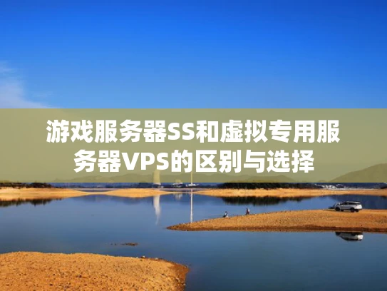 游戏服务器SS和虚拟专用服务器VPS的区别与选择