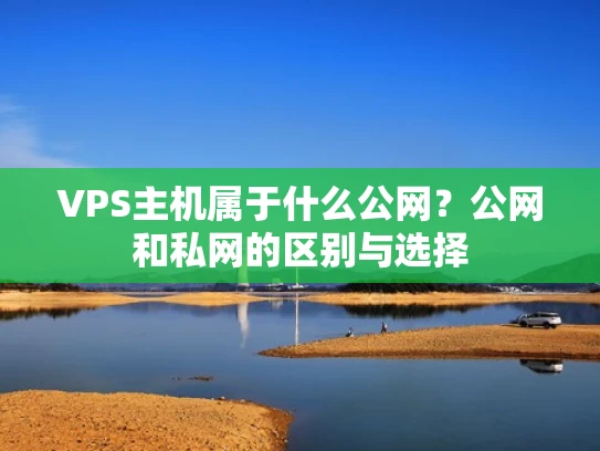 VPS主机属于什么公网？公网和私网的区别与选择