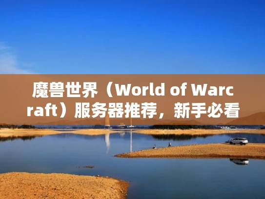 魔兽世界（World of Warcraft）服务器推荐，新手必看指南