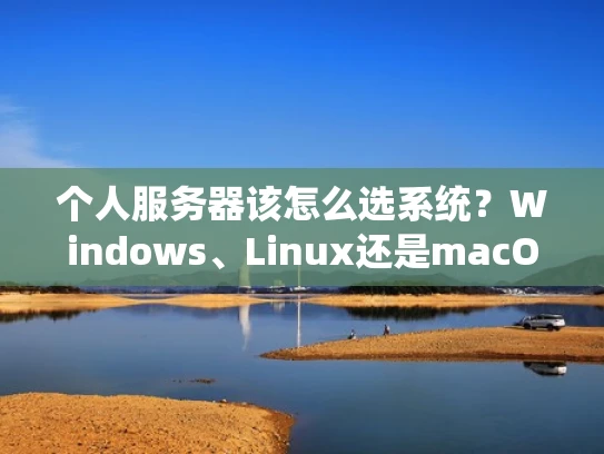 个人服务器该怎么选系统？Windows、Linux还是macOS？