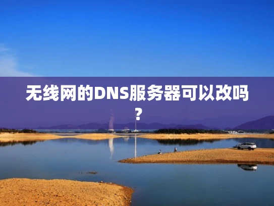 无线网的DNS服务器可以改吗？