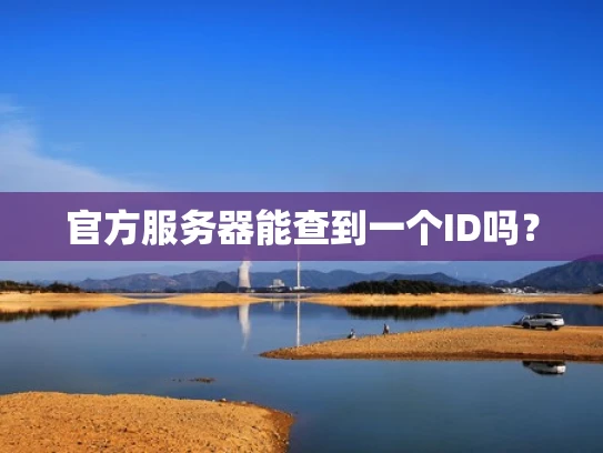 官方服务器能查到一个ID吗？