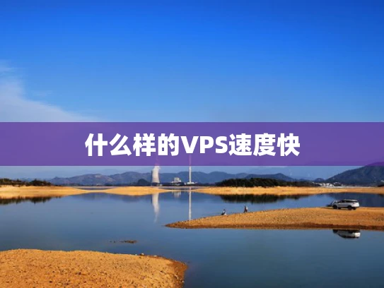 什么样的VPS速度快