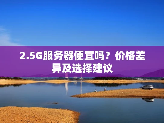 2.5G服务器便宜吗？价格差异及选择建议