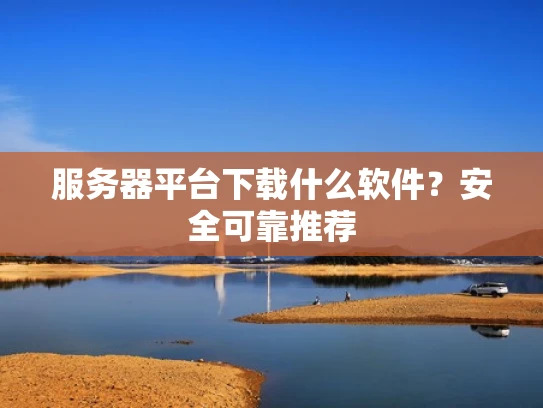 服务器平台下载什么软件？安全可靠推荐