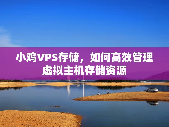 小鸡VPS存储，如何高效管理虚拟主机存储资源