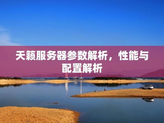 天籁服务器参数解析，性能与配置解析