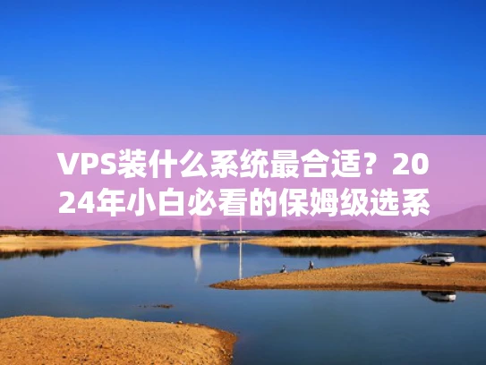 VPS装什么系统最合适？2024年小白必看的保姆级选系统攻略
