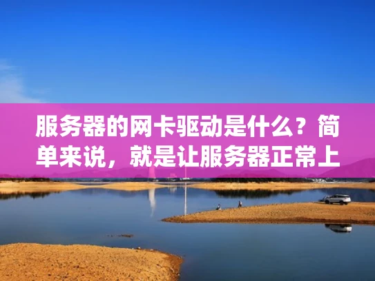 服务器的网卡驱动是什么？简单来说，就是让服务器正常上网的 bridge 