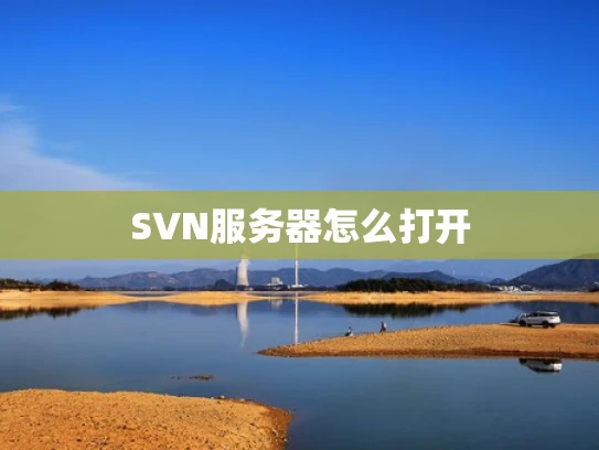 SVN服务器怎么打开