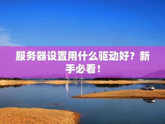 服务器设置用什么驱动好？新手必看！