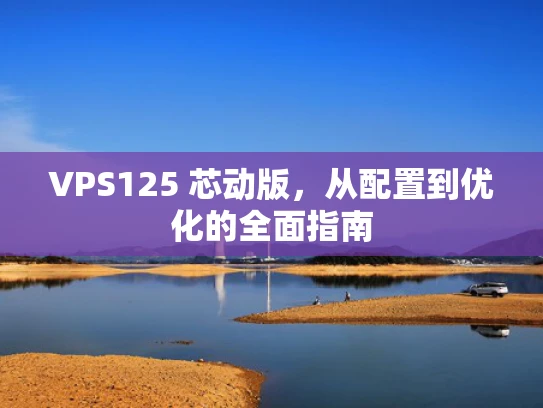 VPS125 芯动版，从配置到优化的全面指南