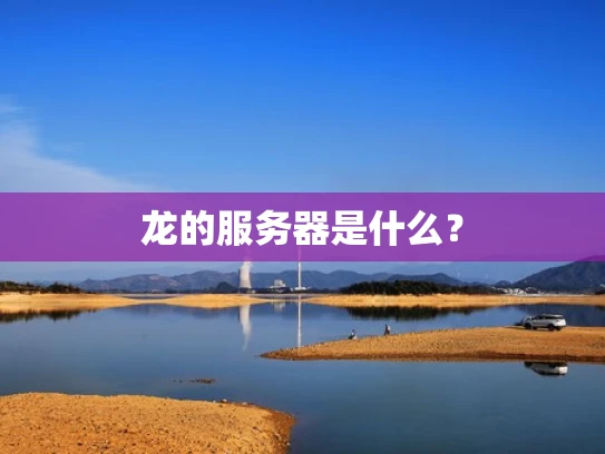 龙的服务器是什么？