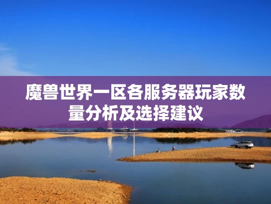魔兽世界一区各服务器玩家数量分析及选择建议