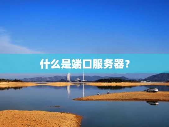 什么是端口服务器？