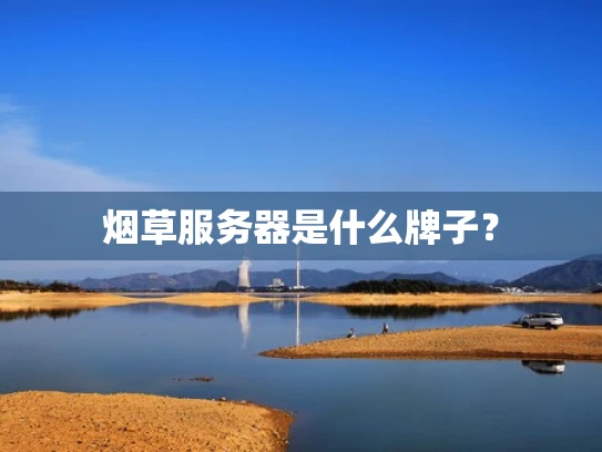 烟草服务器是什么牌子？