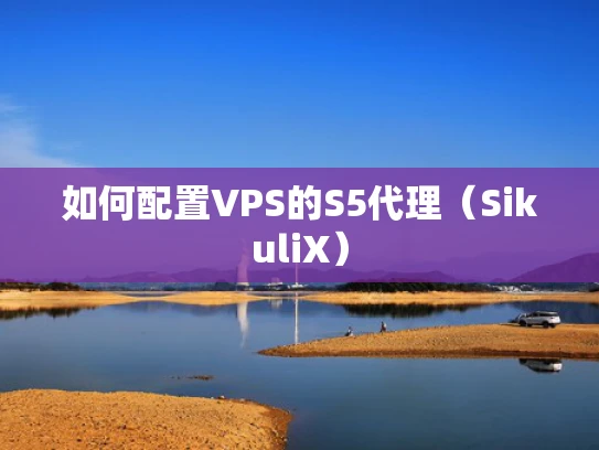 如何配置VPS的S5代理（SikuliX）