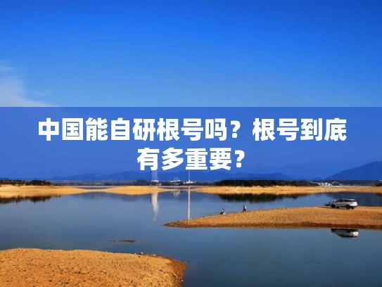 中国能自研根号吗？根号到底有多重要？