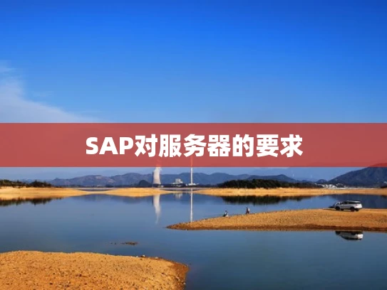 SAP对服务器的要求