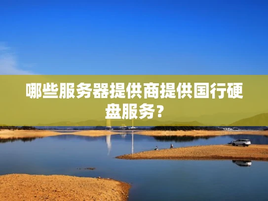 哪些服务器提供商提供国行硬盘服务？