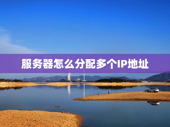 服务器怎么分配多个IP地址