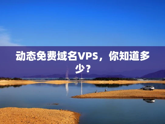 动态免费域名VPS，你知道多少？