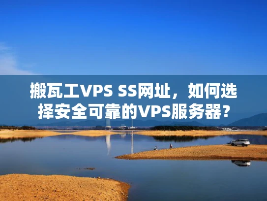 搬瓦工VPS SS网址，如何选择安全可靠的VPS服务器？