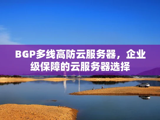 BGP多线高防云服务器，企业级保障的云服务器选择