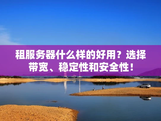 租服务器什么样的好用？选择带宽、稳定性和安全性！