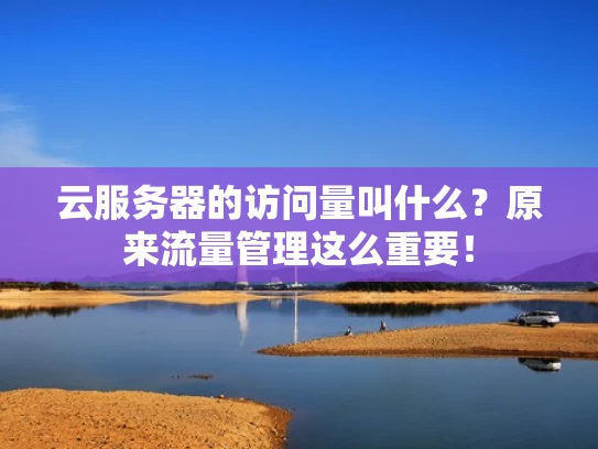 云服务器的访问量叫什么？原来流量管理这么重要！