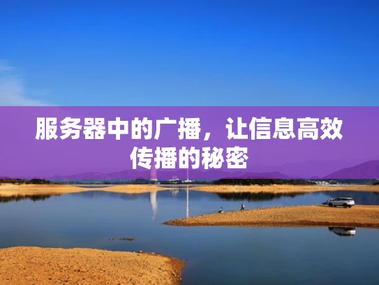 服务器中的广播，让信息高效传播的秘密