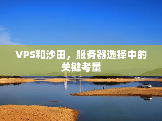 VPS和沙田，服务器选择中的关键考量