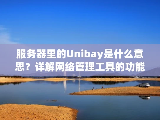 服务器里的Unibay是什么意思？详解网络管理工具的功能与作用