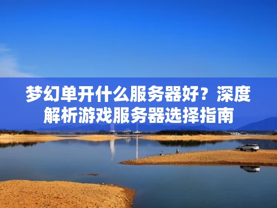 梦幻单开什么服务器好？深度解析游戏服务器选择指南